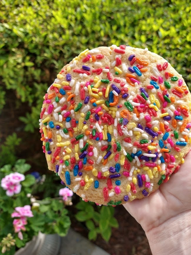 sugar cookie with rainbow sprinkles